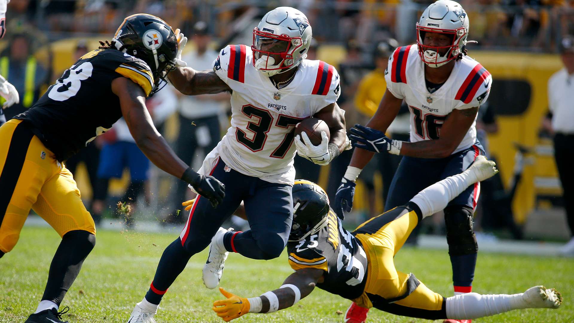 態和靈活的 態和靈活的